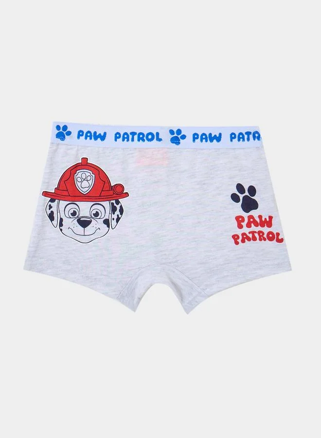 Styli Pack of 2 - Boys Paw Patrol Print Briefs